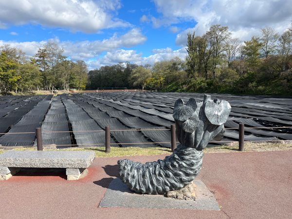 日本・長野県「長野旅行No.3（美ヶ原高原、白馬）」の写真