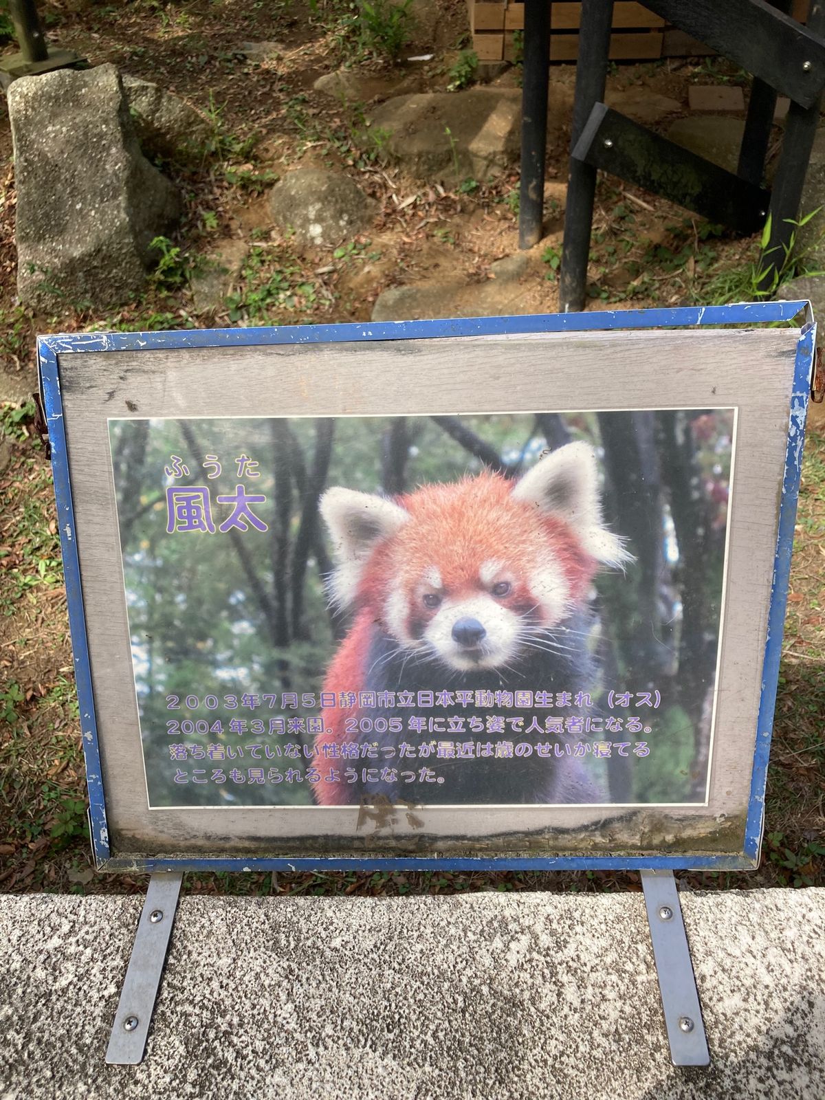 颯太くんで有名。