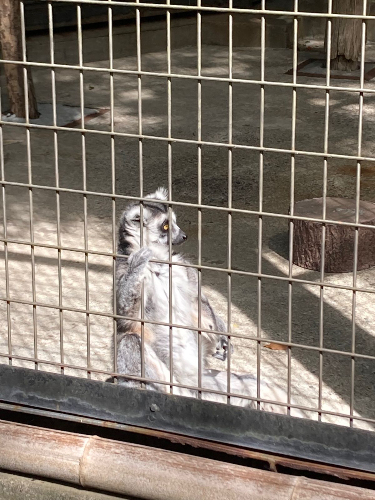 颯太くんで有名。