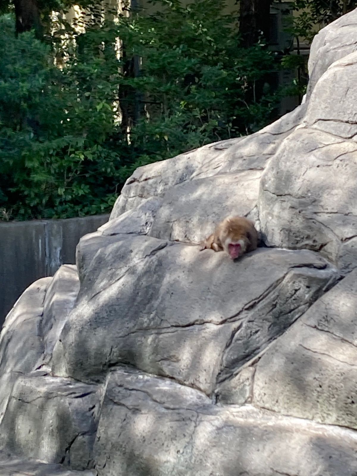 颯太くんで有名。