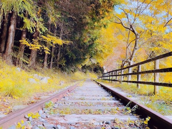 日本・静岡県静岡市「静岡県静岡市」の写真