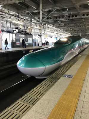 仙台から新幹線はやぶさのグランクラスで函館へ🚄