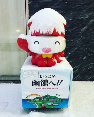 仙台から新幹線はやぶさのグランクラスで函館へ🚄