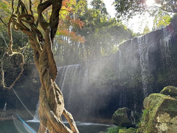 日本・熊本県「熊本女子旅」の写真