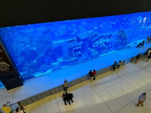 ドバイモール
巨大すぎて迷子になりました…
中には水族館まであって🐟
トイ...