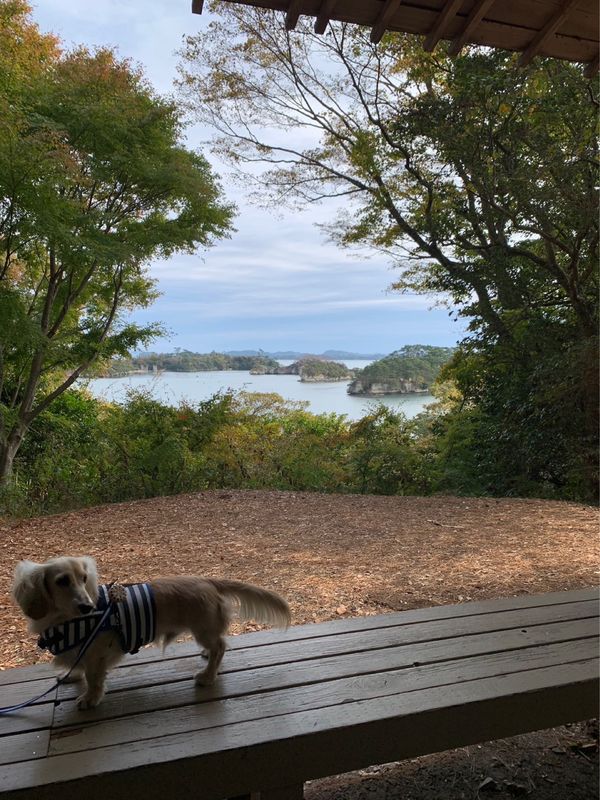 日本・宮城県「仙台松島」の写真