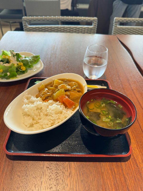 アメリカ(米国)・ハワイ「弾丸ハワイ！」の写真：わずか2泊3日のハワイ。すでに帰りの空港...