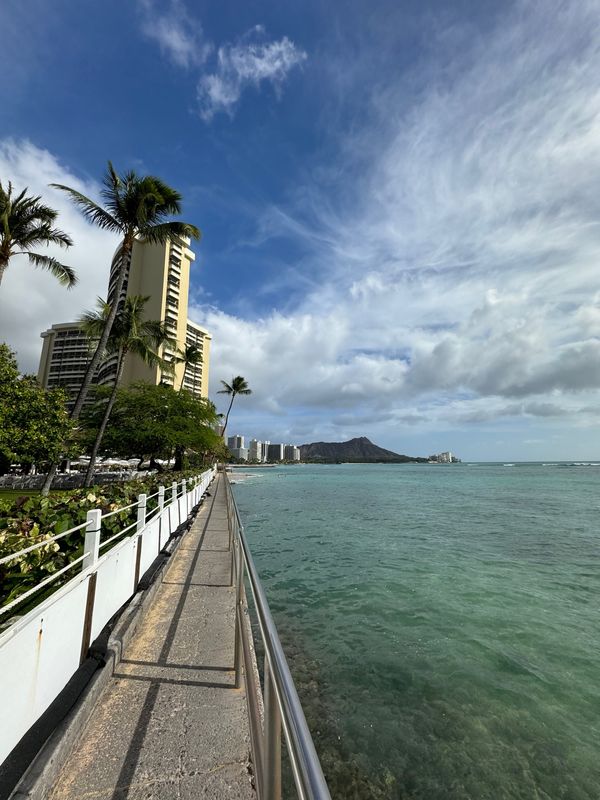 アメリカ(米国)・ハワイ「弾丸ハワイ！」の写真：ワイキキをウロウロ
クリスマスモードになってた