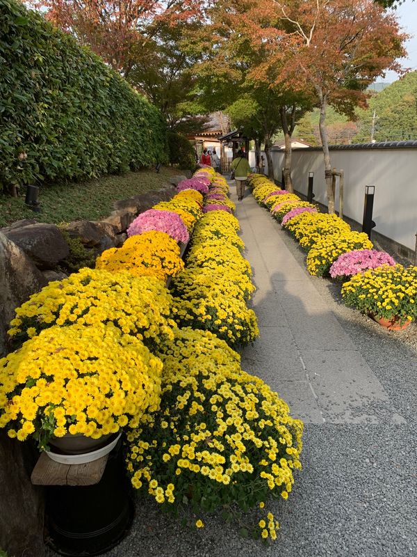 日本・群馬県「桐生　宝徳寺」の写真