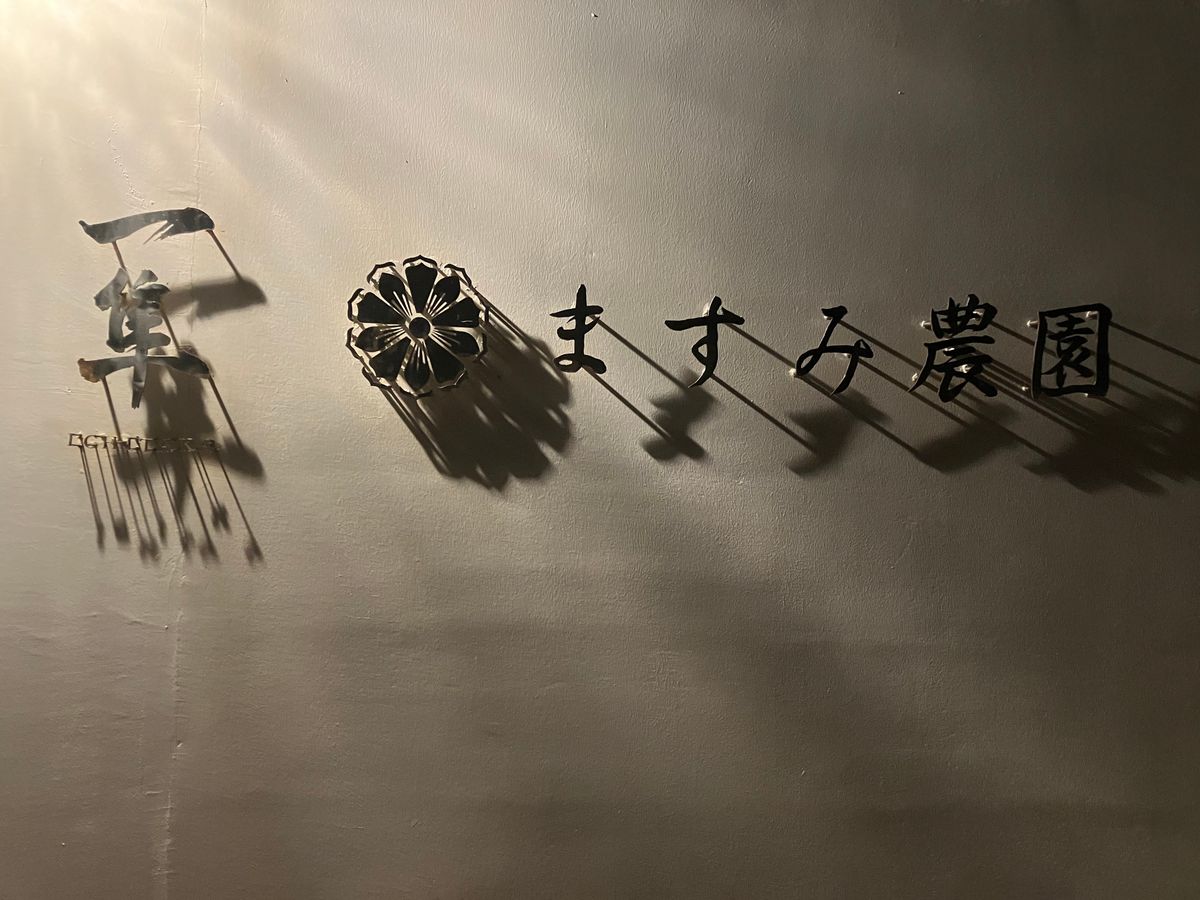 西表島での１日目夜ごはん。
美味しかった♡
島らっきょの美味しさに出会った♡