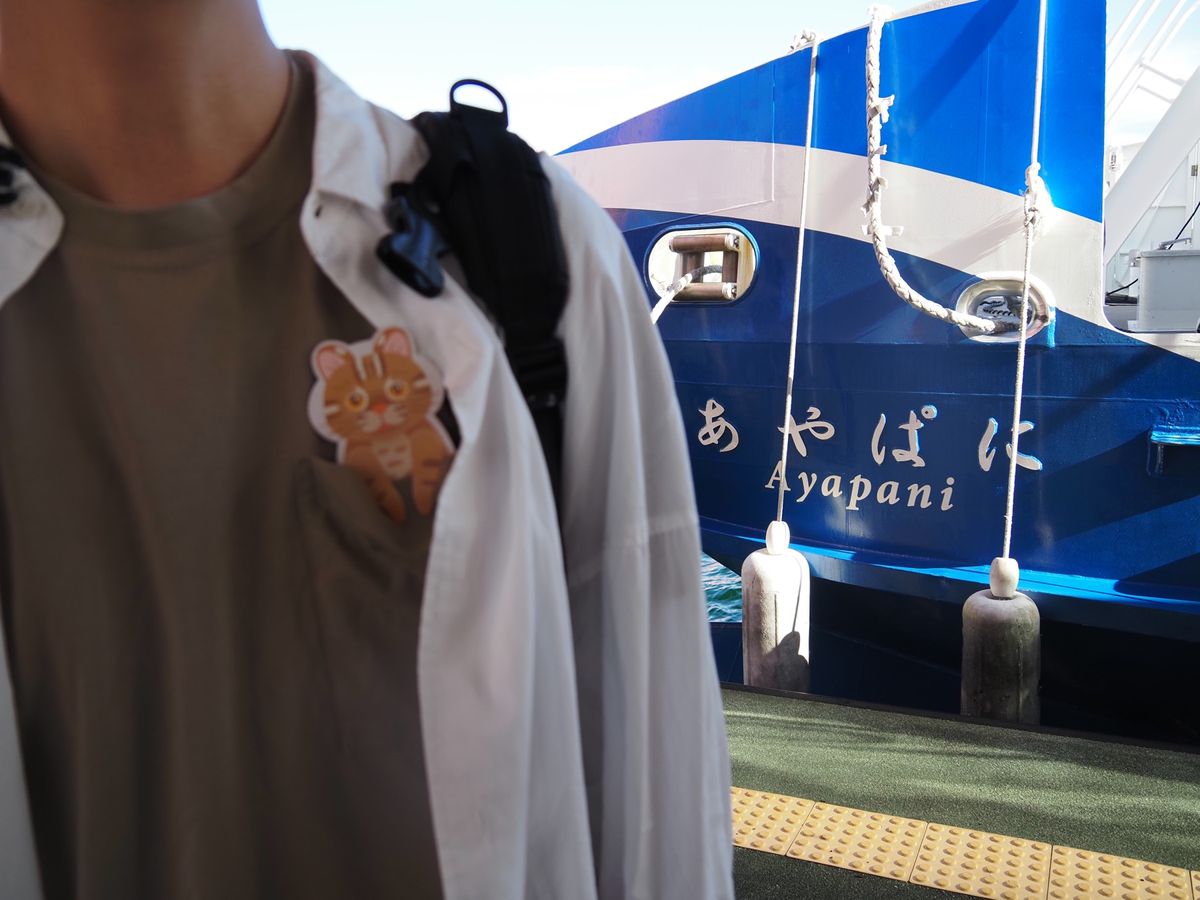 西表島いいところだった♡