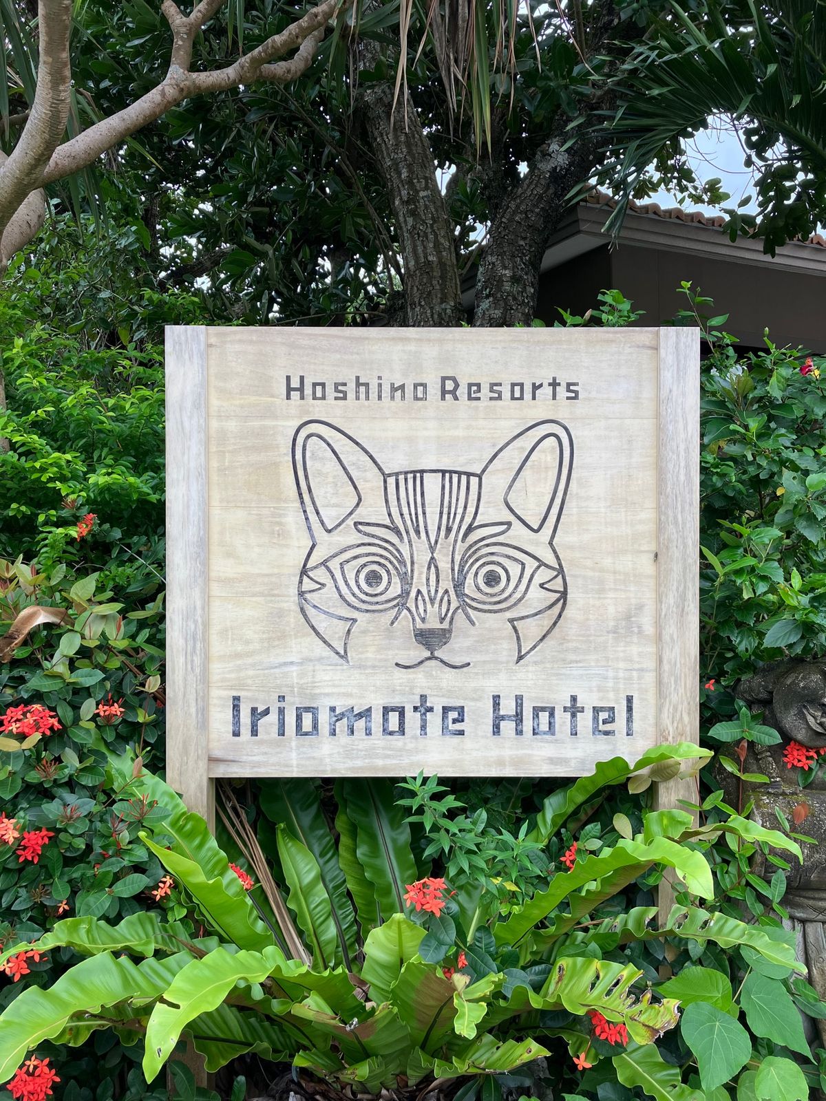 宿泊は西表島ホテル。
楽しいホテル✨