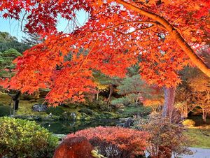 松江城〜由志園