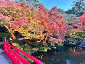 松江城〜由志園