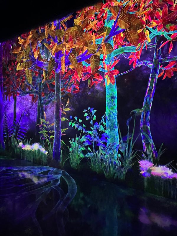 日本・長崎県「福岡〜長崎の旅」の写真：チームラボフォレスト福岡