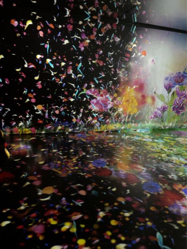 日本・長崎県「福岡〜長崎の旅」の写真：ハウステンボス
光のファンタジアシティ