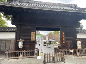 徳川園。名古屋市内でも紅葉の名所の一つなのですが、残念ながら今年は色づきが...