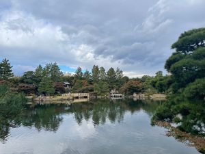 徳川園。名古屋市内でも紅葉の名所の一つなのですが、残念ながら今年は色づきが...