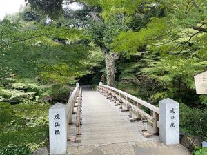 徳川園。名古屋市内でも紅葉の名所の一つなのですが、残念ながら今年は色づきが...