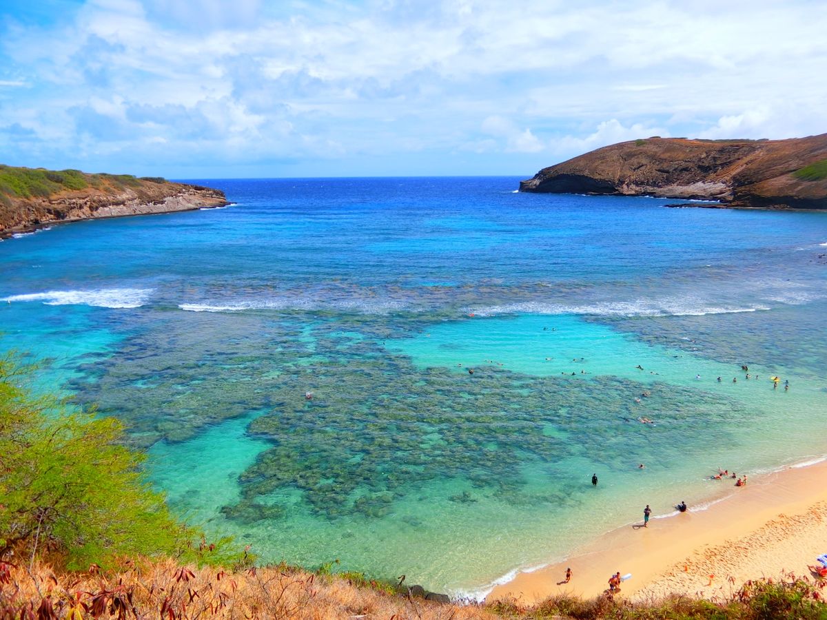 ハナウマベイでシュノーケリング。浅瀬で魚がたくさんいて、ほとんど泳げない私...