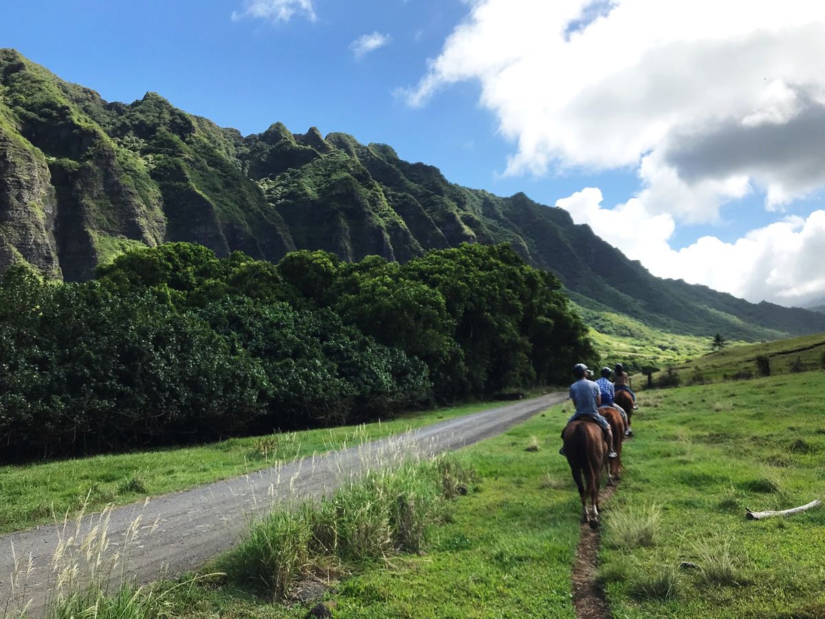 ジェラシックパークの撮影場所としても有名なクロノア•ランチで、森を抜けて撮...