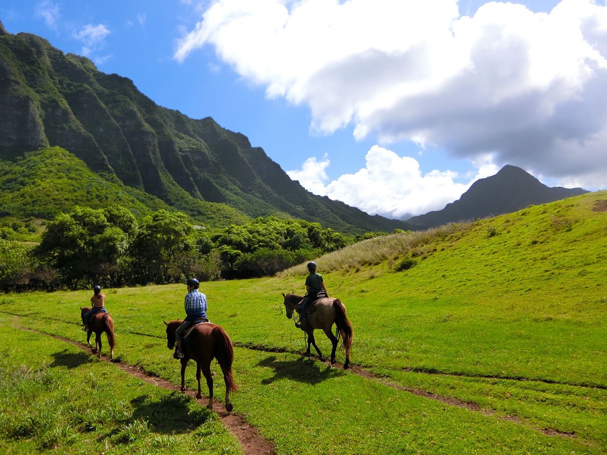ジェラシックパークの撮影場所としても有名なクロノア•ランチで、森を抜けて撮...
