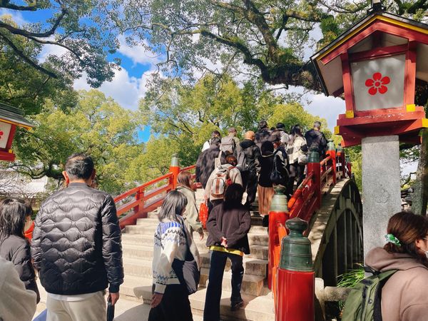 日本・博多「福岡出張🍜」の写真