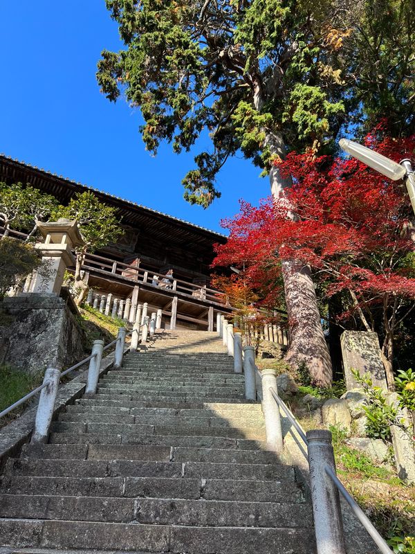 日本・兵庫県「金持神社の帰り道」の写真