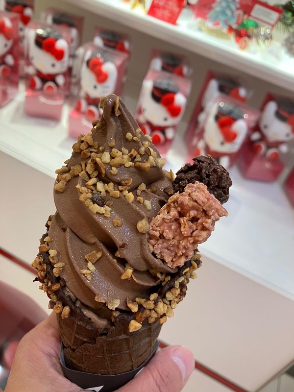 日本・和歌山県「弾丸関西」の写真