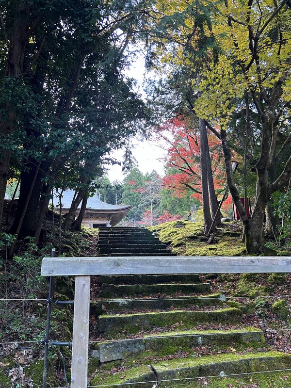 日本・福井県「美山と小浜へ」の写真