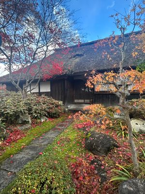 かみのやま城、武家屋敷、月岡神社。