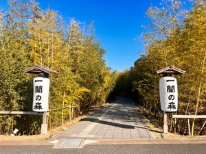 一蘭の森　糸島店