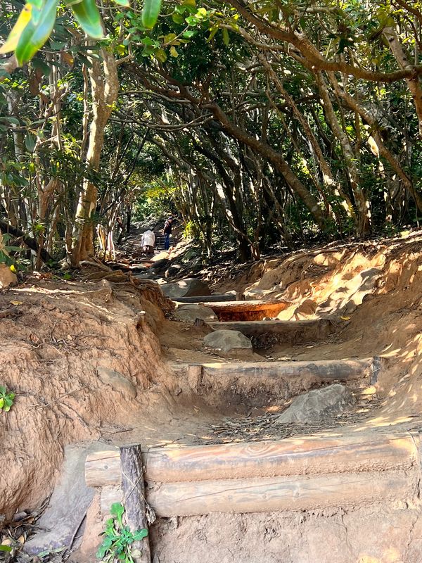 日本・福岡県「九州旅行（福岡）」の写真：トトロの森