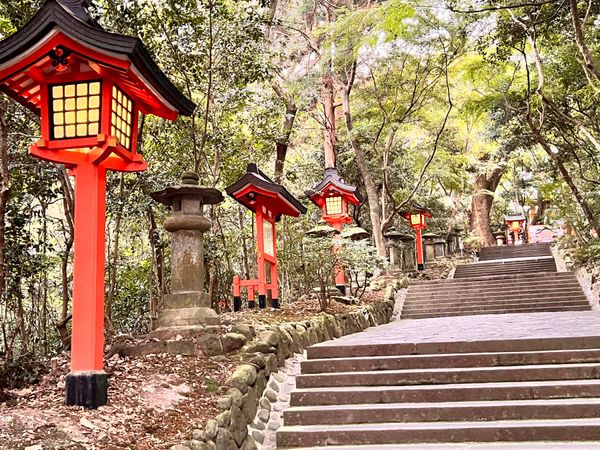 日本・大分県「九州旅行（大分）」の写真：宇佐神宮