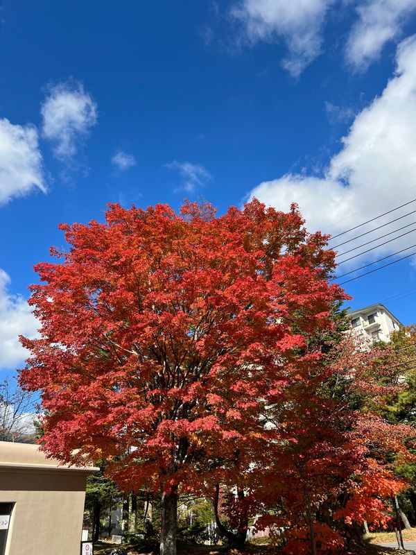 日本・草津温泉♨️「草津温泉」の写真