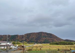 こちらの名物？の一つは四半世紀以上にわたって毎年日本に越冬にくるオオワシ。...