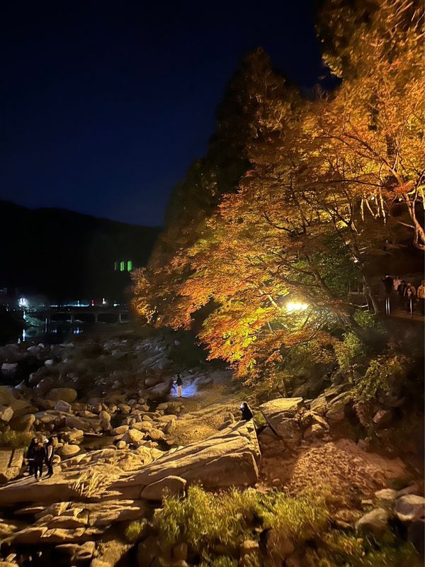 日本「香嵐渓」の写真