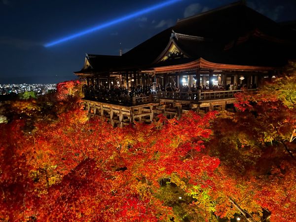 日本・京都「秋の京都」の写真