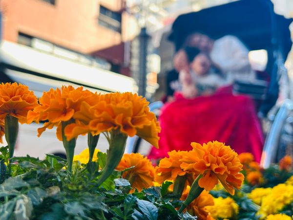 日本・東京「東京2023」の写真：浅草　SHIBUYA SKY