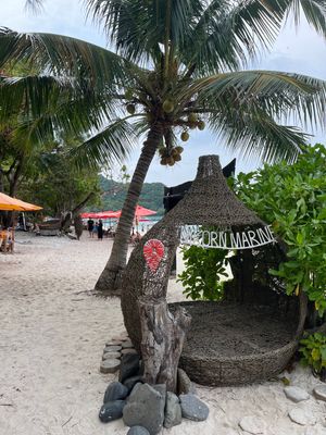 次はコーラル島へ🏝️
ここでもシュノーケル🤿