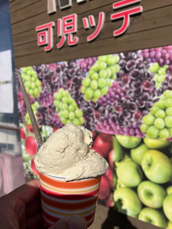 日本・岐阜県「岐阜道の駅ツアー」の写真