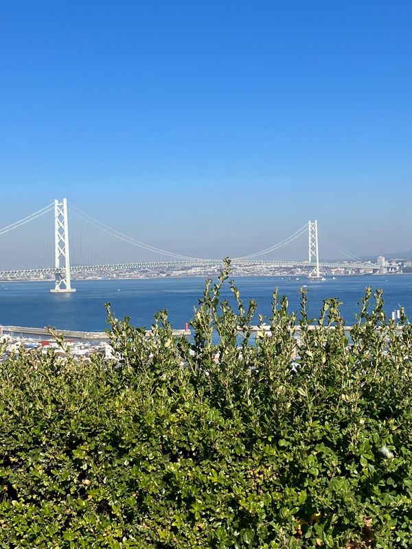 日本・徳島県「高知・徳島満喫旅」の写真：淡路ＳＡ