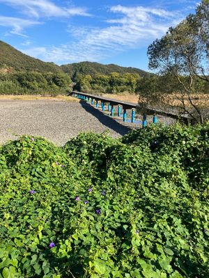 四万十川沈下橋