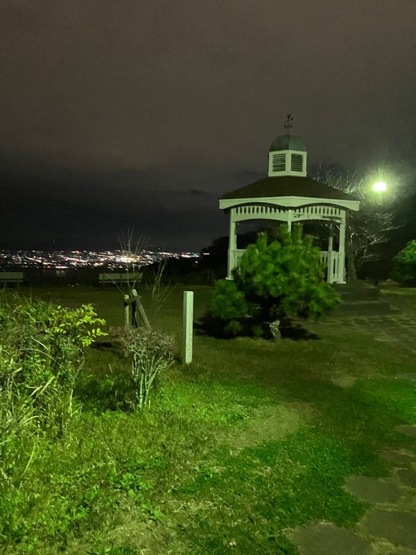 日本・徳島県「高知・徳島満喫旅」の写真：眉山
くるくるなると
鳴門の渦潮