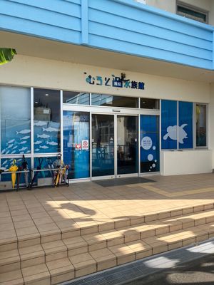 室戸廃校水族館1