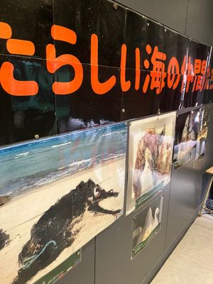 室戸廃校水族館1