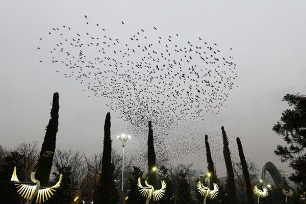 タジキスタン・Dushanbe「中央アジアコーカサス出張」の写真：ドゥシャンベの風景