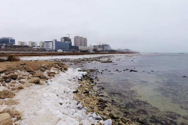 タジキスタン・Dushanbe「中央アジアコーカサス出張」の写真：冬のカスピ海。寒すぎ
アクタウにて
