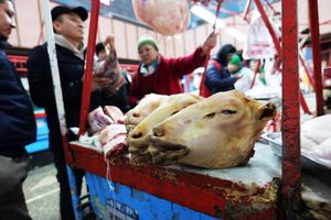 市場の肉コーナーが充実