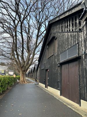 １週間の滞在。雨か曇りがほとんど。